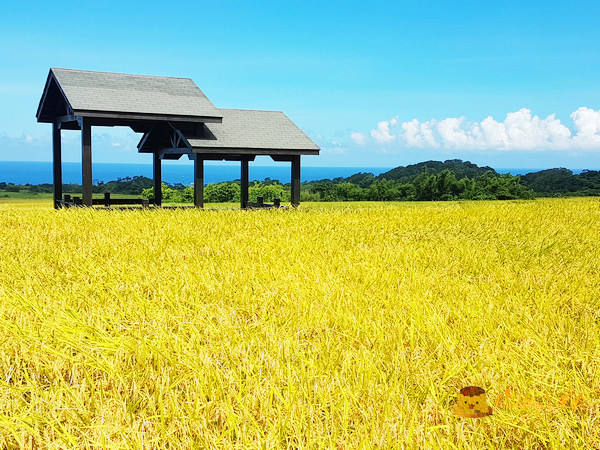 nEO_IMG_20160624_143701