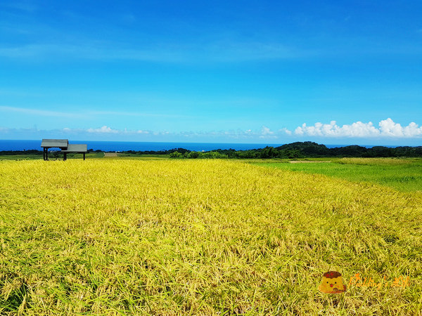 nEO_IMG_20160624_143538