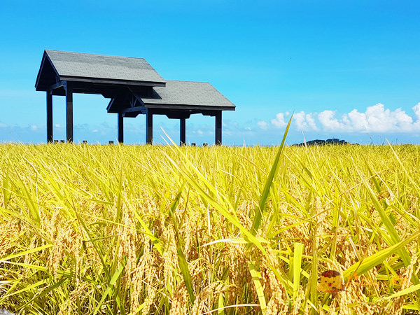 nEO_IMG_20160624_143714