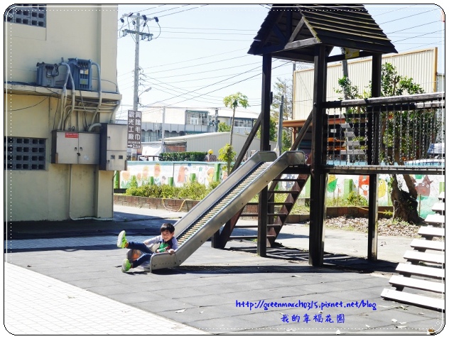 P8890532 (620x465).jpg