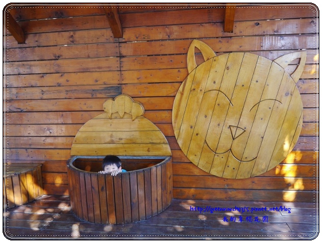 P8890449 (620x465).jpg