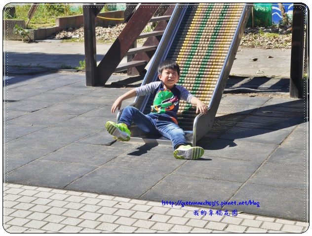 P8890534 (620x465).jpg