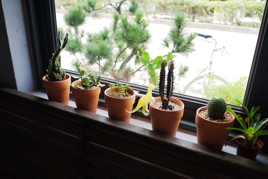 P2620347.jpg P2620347.jpg