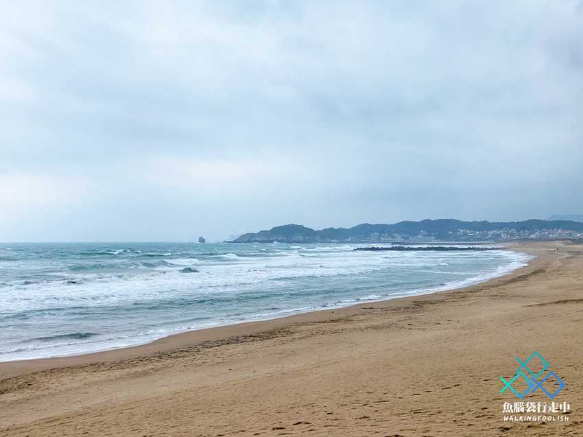 魚腦袋行走中_北海岸_靠北過日子 (7).jpg