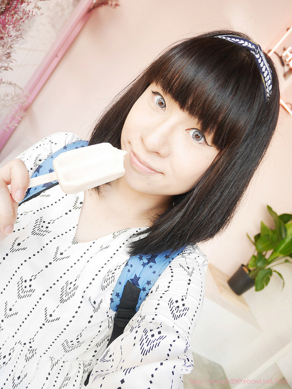 Lovi's 巷弄手工雪糕鋪 (14)