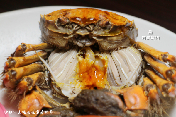 鱻海鮮燒物：蘆洲燒烤『鱻海鮮燒物』鮟鱇魚海鮮火鍋/流膏的大閘蟹非吃不可/捷運徐匯中學站