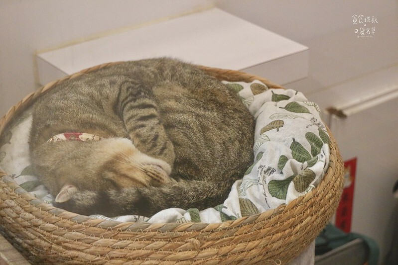 台中北區｜科博館附近，濃郁有機豆漿、平價豐富早午餐，還可以盡