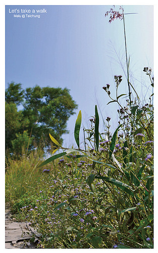 知高圳步道(雪蓮步道)-25