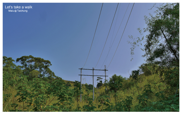 知高圳步道(雪蓮步道)-22