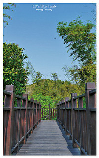 知高圳步道(雪蓮步道)-14