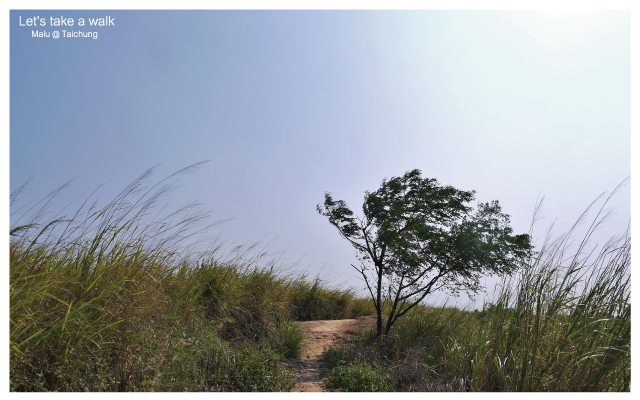 知高圳步道(雪蓮步道)-38