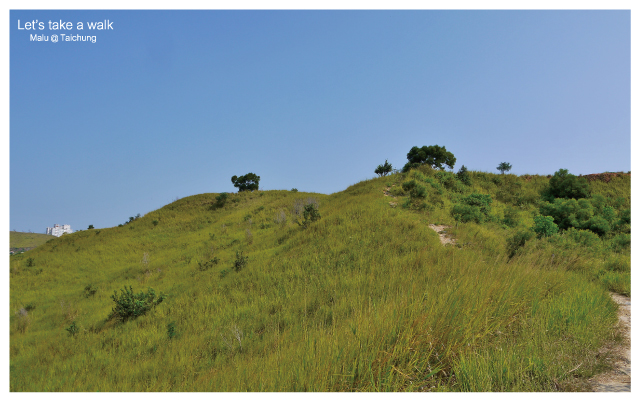 知高圳步道(雪蓮步道)-34
