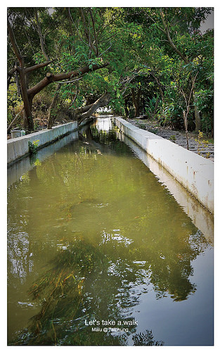 知高圳步道(雪蓮步道)-20