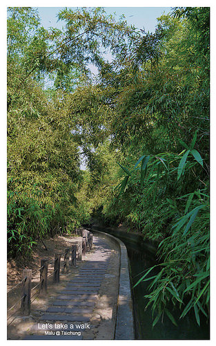 知高圳步道(雪蓮步道)-8