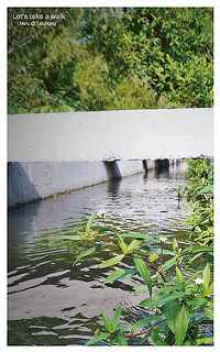 知高圳步道(雪蓮步道)-12