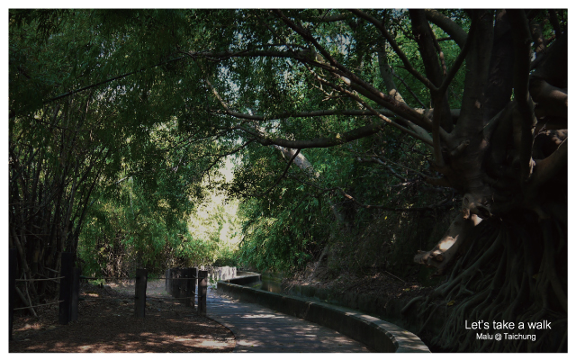 知高圳步道(雪蓮步道)-6