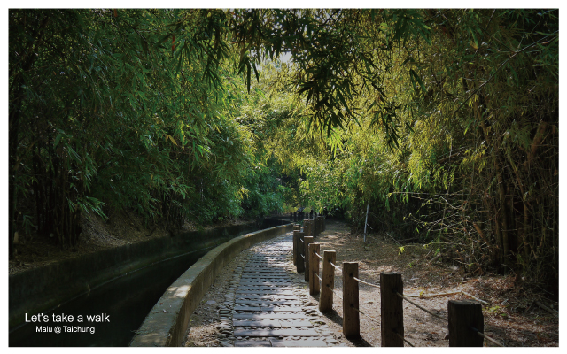 知高圳步道(雪蓮步道)-9