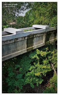 知高圳步道(雪蓮步道)-13