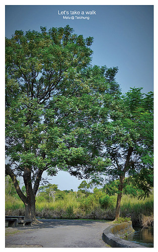知高圳步道(雪蓮步道)-2