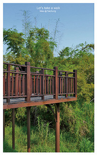 知高圳步道(雪蓮步道)-10