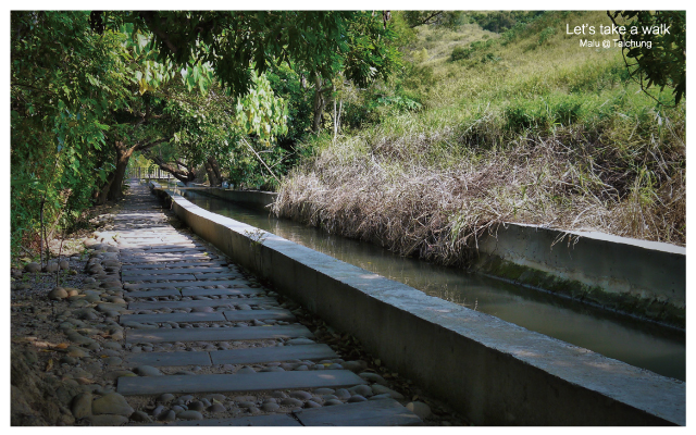 知高圳步道(雪蓮步道)-19