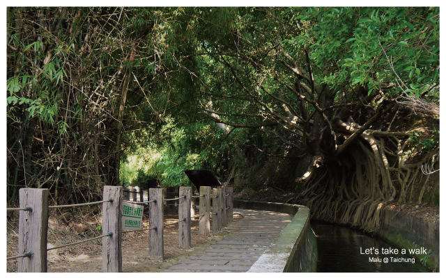 知高圳步道(雪蓮步道)-5
