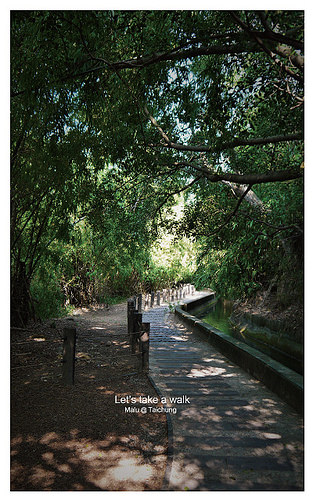 知高圳步道(雪蓮步道)-7