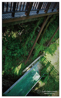 知高圳步道(雪蓮步道)-16