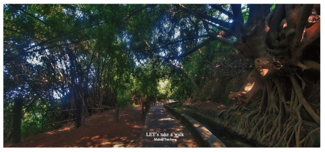 知高圳步道(雪蓮步道)-40