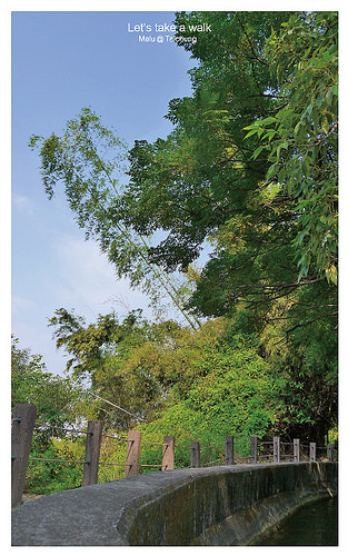 知高圳步道(雪蓮步道)-3