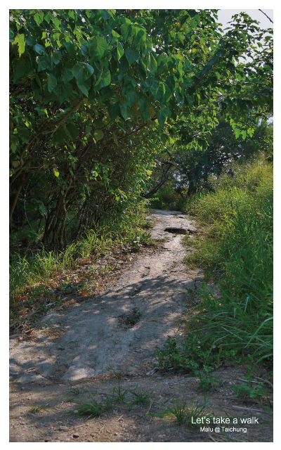知高圳步道(雪蓮步道)-23