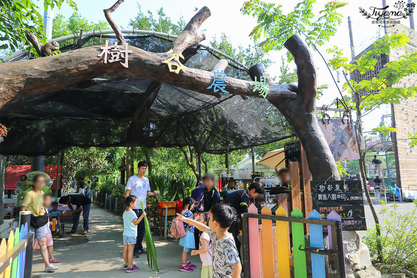 台南親子景點，樹谷農場好好玩！！雲端歷險繩索挑戰小朋友的勇氣與體力 - 緹雅瑪 美食旅遊趣