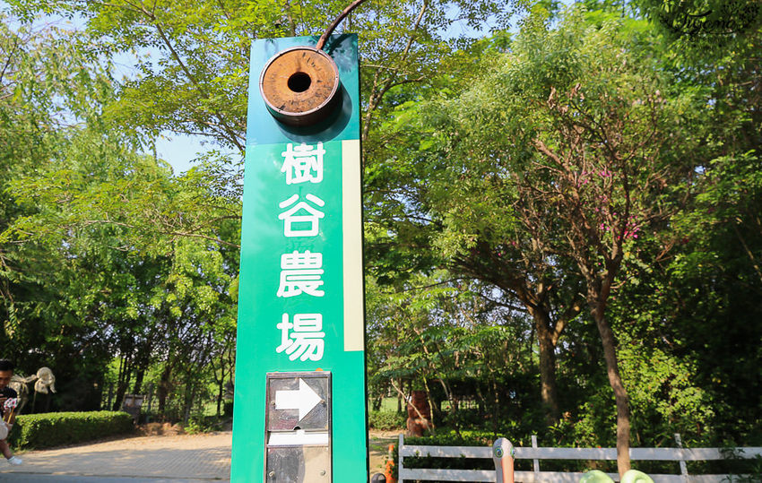 台南親子景點，樹谷農場好好玩！！雲端歷險繩索挑戰小朋友的勇氣與體力 - 緹雅瑪 美食旅遊趣