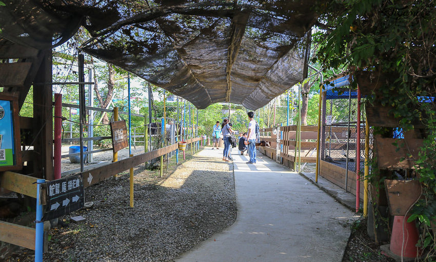 台南親子景點，樹谷農場好好玩！！雲端歷險繩索挑戰小朋友的勇氣與體力 - 緹雅瑪 美食旅遊趣