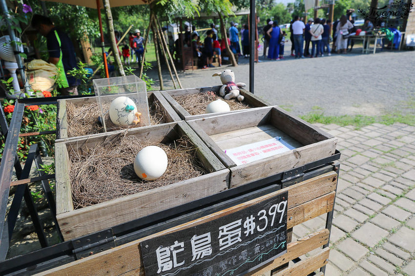 台南親子景點，樹谷農場好好玩！！雲端歷險繩索挑戰小朋友的勇氣與體力 - 緹雅瑪 美食旅遊趣