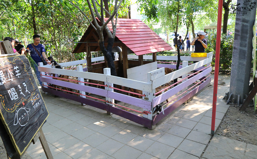 台南親子景點，樹谷農場好好玩！！雲端歷險繩索挑戰小朋友的勇氣與體力 - 緹雅瑪 美食旅遊趣