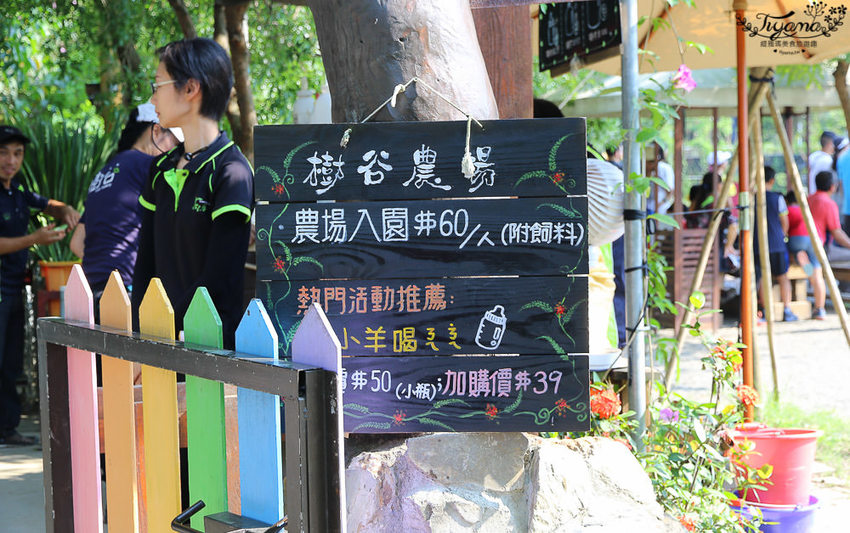 台南親子景點，樹谷農場好好玩！！雲端歷險繩索挑戰小朋友的勇氣與體力 - 緹雅瑪 美食旅遊趣