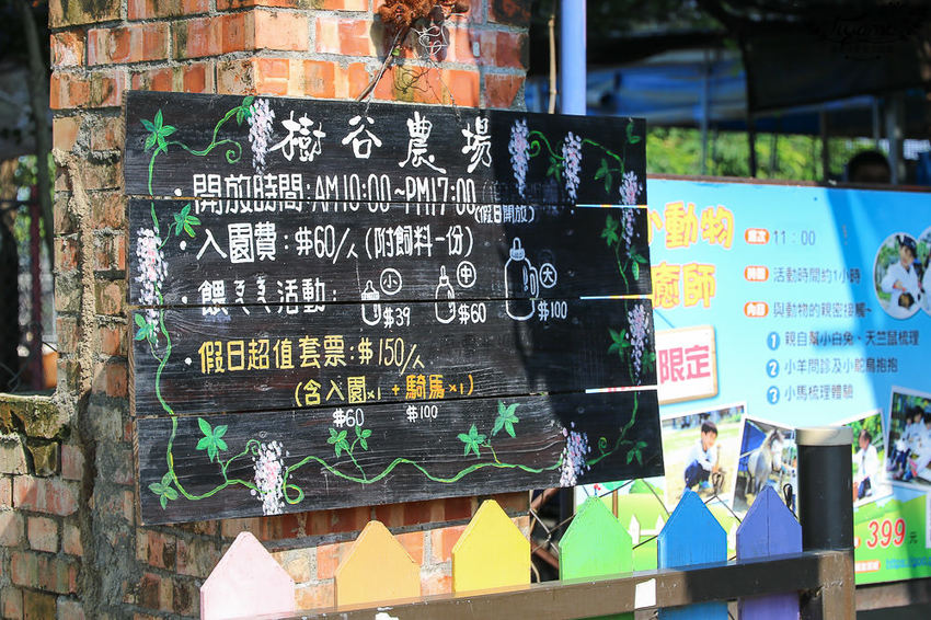 台南親子景點，樹谷農場好好玩！！雲端歷險繩索挑戰小朋友的勇氣與體力 - 緹雅瑪 美食旅遊趣