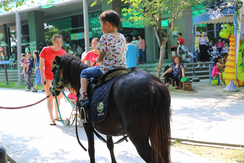 台南親子景點，樹谷農場好好玩！！雲端歷險繩索挑戰小朋友的勇氣與體力 - 緹雅瑪 美食旅遊趣