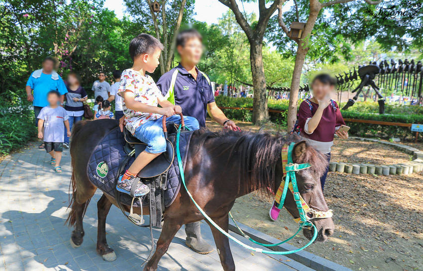 台南親子景點，樹谷農場好好玩！！雲端歷險繩索挑戰小朋友的勇氣與體力 - 緹雅瑪 美食旅遊趣