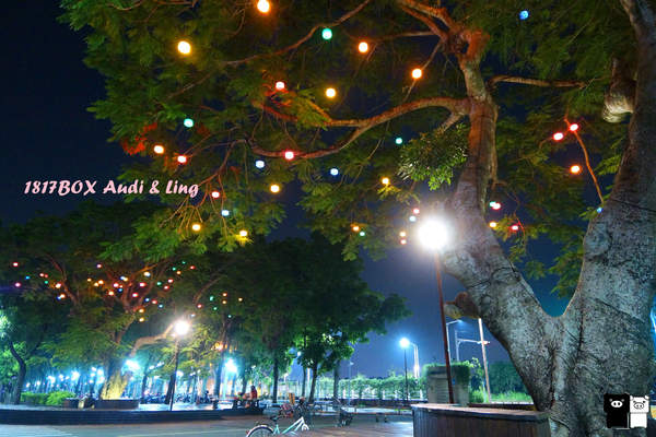 【雲林。斗六】環球科大鳳凰夫妻樹浪漫點燈。夜拍。鳳凰樹。愛月樓