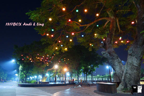 【雲林。斗六】環球科大鳳凰夫妻樹浪漫點燈。夜拍。鳳凰樹。愛月樓