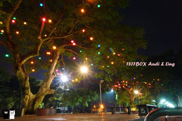 【雲林。斗六】環球科大鳳凰夫妻樹浪漫點燈。夜拍。鳳凰樹。愛月樓