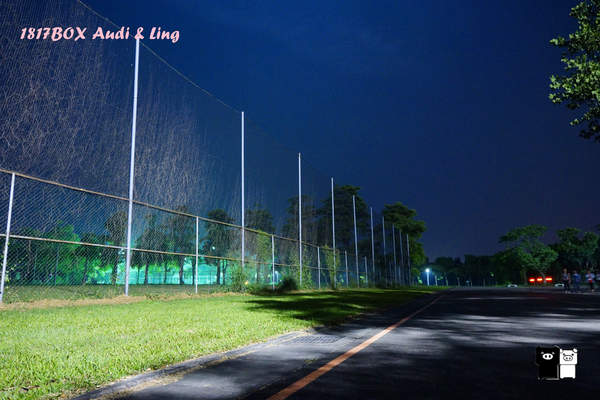 【雲林。斗六】環球科大鳳凰夫妻樹浪漫點燈。夜拍。鳳凰樹。愛月樓