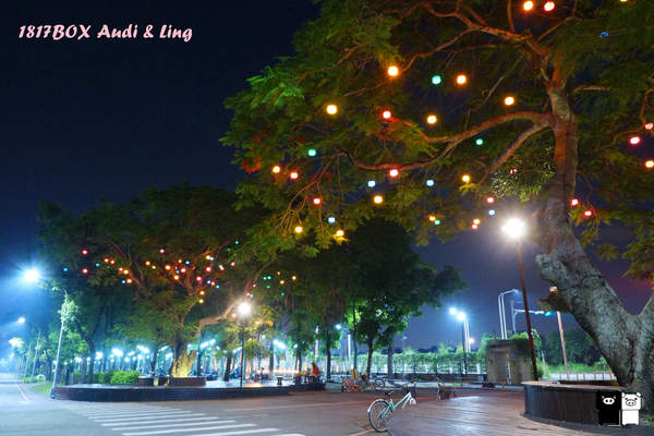 【雲林。斗六】環球科大鳳凰夫妻樹浪漫點燈。夜拍。鳳凰樹。愛月樓