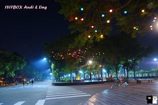 【雲林。斗六】環球科大鳳凰夫妻樹浪漫點燈。夜拍。鳳凰樹。愛月樓