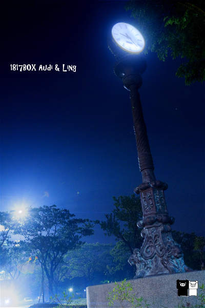 【雲林。斗六】環球科大鳳凰夫妻樹浪漫點燈。夜拍。鳳凰樹。愛月樓