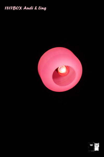 【雲林。斗六】環球科大鳳凰夫妻樹浪漫點燈。夜拍。鳳凰樹。愛月樓