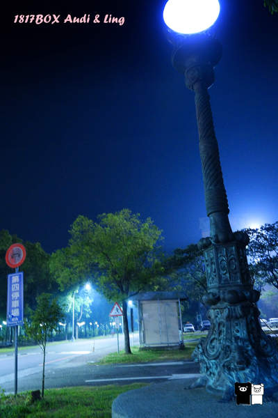 【雲林。斗六】環球科大鳳凰夫妻樹浪漫點燈。夜拍。鳳凰樹。愛月樓