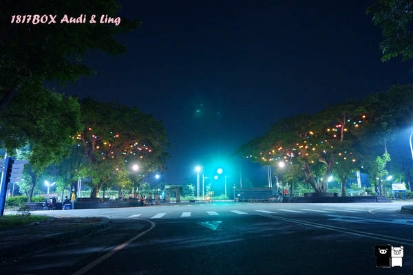 【雲林。斗六】環球科大鳳凰夫妻樹浪漫點燈。夜拍。鳳凰樹。愛月樓